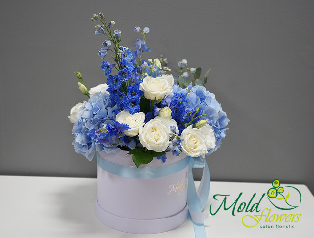 Box with blue hydrangea, ''Blue Lagoon'' photo